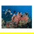 DiveVolk SeaTouch 4 Max Underwater Smart...: Picture 2 thumbnail