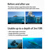 DiveVolk SeaTouch 4 Max Underwater Smart...: Picture 5 thumbnail
