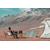 EcoFlow 220W Bifacial Portable Solar Pan...: Picture 12 thumbnail