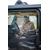 EcoFlow RIVER 2 300W 256Wh Portable Powe...: Picture 17 thumbnail