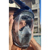 FogX Fog-X for Double Snorkeling and Scuba Ma...: Picture 10 thumbnail