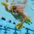 Finis Manta Paddles: Picture 5 thumbnail