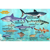 Frankos Maps Franko Maps California Shark and Rays Fi...: Picture 1 thumbnail