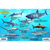 Frankos Maps Franko Maps California Shark and Rays Fi...: Picture 2 thumbnail