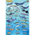 Frankos Maps Franko Maps Pacific Northwest Mini Fish ...: Picture 1 thumbnail