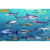 Frankos Maps Franko Maps Virgin Islands Shark and Ray...: Picture 1 thumbnail