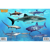 Frankos Maps Franko Maps Virgin Islands Shark and Ray...: Picture 2 thumbnail