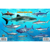 Frankos Maps Franko Maps Caribbean Sea Shark and Rays...: Picture 1 thumbnail