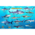 Frankos Maps Franko Maps Caribbean Sea Shark and Rays...: Picture 2 thumbnail