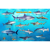 Frankos Maps Franko Maps Puerto Rico Shark and Rays F...: Picture 1 thumbnail