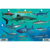 Frankos Maps Franko Maps Bahamas Shark and Rays Fish ...: Picture 2 thumbnail