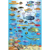 Frankos Maps Franko Maps Palau Mini Fish ID-Card: Picture 1 thumbnail