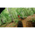 GoPro Sports Kit for all GoPro Cameras: Picture 11 thumbnail