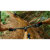 GoPro Sports Kit for all GoPro Cameras: Picture 9 thumbnail