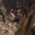 Garmin fenix 8 Sapphire GPS Smartwatch: Picture 14 thumbnail