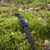 Garmin fenix 8 AMOLED GPS Smartwatch: Picture 19 thumbnail
