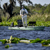 Garmin Quatix 8 AMOLED Marine GPS Smartw...: Picture 16 thumbnail