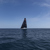 Garmin Quatix 8 AMOLED Marine GPS Smartw...: Picture 16 thumbnail