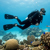 Hollis Open Heel Dive Travel Fins F-2: Picture 2 thumbnail