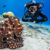 Mares Sirius L Dive Computer: Picture 10 thumbnail