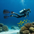 Mares Excite Open Heel Fins: Picture 2 thumbnail