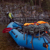 NRS Orion Packraft: Picture 3 thumbnail