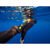 Aqua Ocean Guardian eSPEAR Shark Deterrent: Picture 5 thumbnail