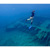 Aqua Ocean Guardian FREEDOM7 Shark Deterrent: Picture 6 thumbnail