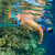 Ocean Reef Aria QR+ Full Face Snorkeling...: Picture 3 thumbnail