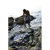 Omer 5mm Holostone Unisex Pant Wetsuit: Picture 5 thumbnail