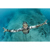Omer 7mm Holostone Unisex Jacket Wetsuit: Picture 5 thumbnail