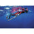 Omer 5mm Redstone Unisex Pant Wetsuit: Picture 5 thumbnail
