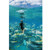 Riffe 2mm Syren Women's Spring Suit: Picture 10 thumbnail
