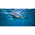 Riffe Kicks Freediving Fin: Picture 6 thumbnail