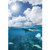 Riffe Kicks Freediving Fin: Picture 6 thumbnail