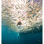 Riffe Nekton Mask: Picture 3 thumbnail