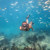Riffe Nekton Mask: Picture 3 thumbnail