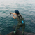 Restube Active Inflatable Floating Buoy: Picture 4 thumbnail