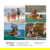 Restube Beach Inflatable Floating Buoy: Picture 7 thumbnail