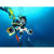 Sublue White Shark Mix Underwater Scoote...: Picture 5 thumbnail