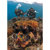 Scubapro 3/2mm Everflex Yulex Men's Full...: Picture 2 thumbnail