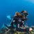 Scubapro Fin Strap for Seawing Nova Fins: Picture 2 thumbnail