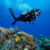 Scubapro Seawing Supernova Bungee Fin Strap, Midi: Picture 2 thumbnail