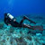 Scubapro Seawing Supernova Bungee Fin Strap, Midi: Picture 3 thumbnail