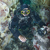 Scubapro S-Tek Expedition Reel: Picture 10 thumbnail