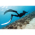 Seac Shout Freediving Fins: Picture 4 thumbnail