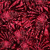 Spacefish Army Lionfish Invasion Bikini ...: Picture 2 thumbnail
