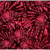 Spacefish Army Lionfish Invasion Womens ...: Picture 2 thumbnail