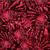 Spacefish Army Lionfish Invasion Womens ...: Picture 2 thumbnail
