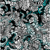 Spacefish Army Electric Blue Octofloral ...: Picture 2 thumbnail